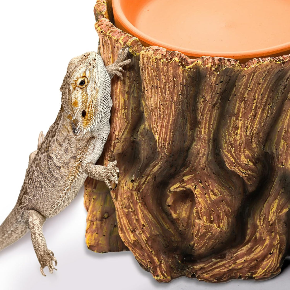 Cididu Reptile Hide Cave Resin