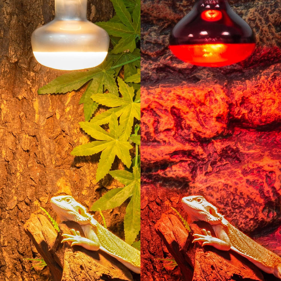 REPTI ZOO 2 Pack 100W Reptile Heat Lamp Bulbs,Upgraded Reptile Day