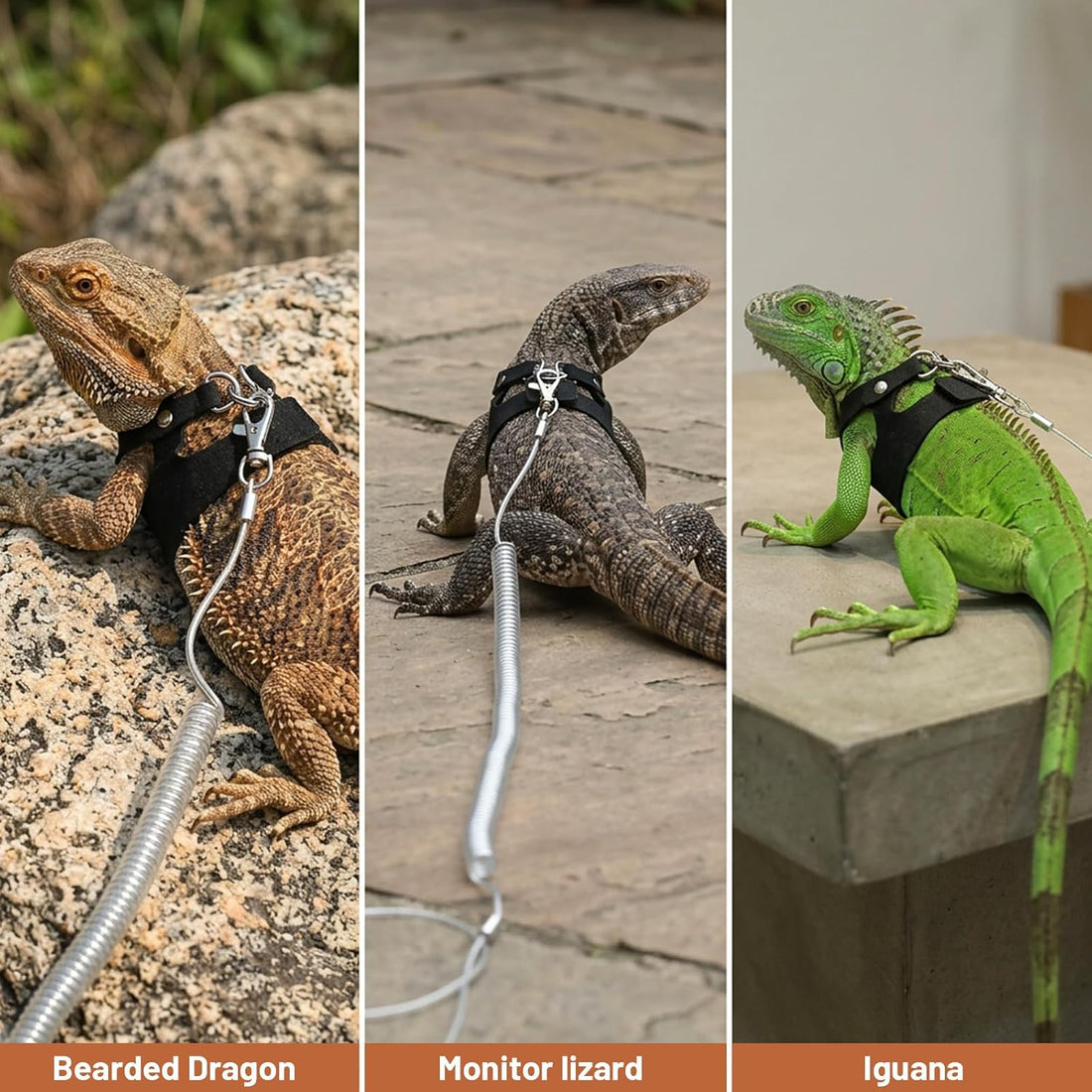 Yuanchu 3 Pack Adjustable Bearded Dragon Harness and Leash Set