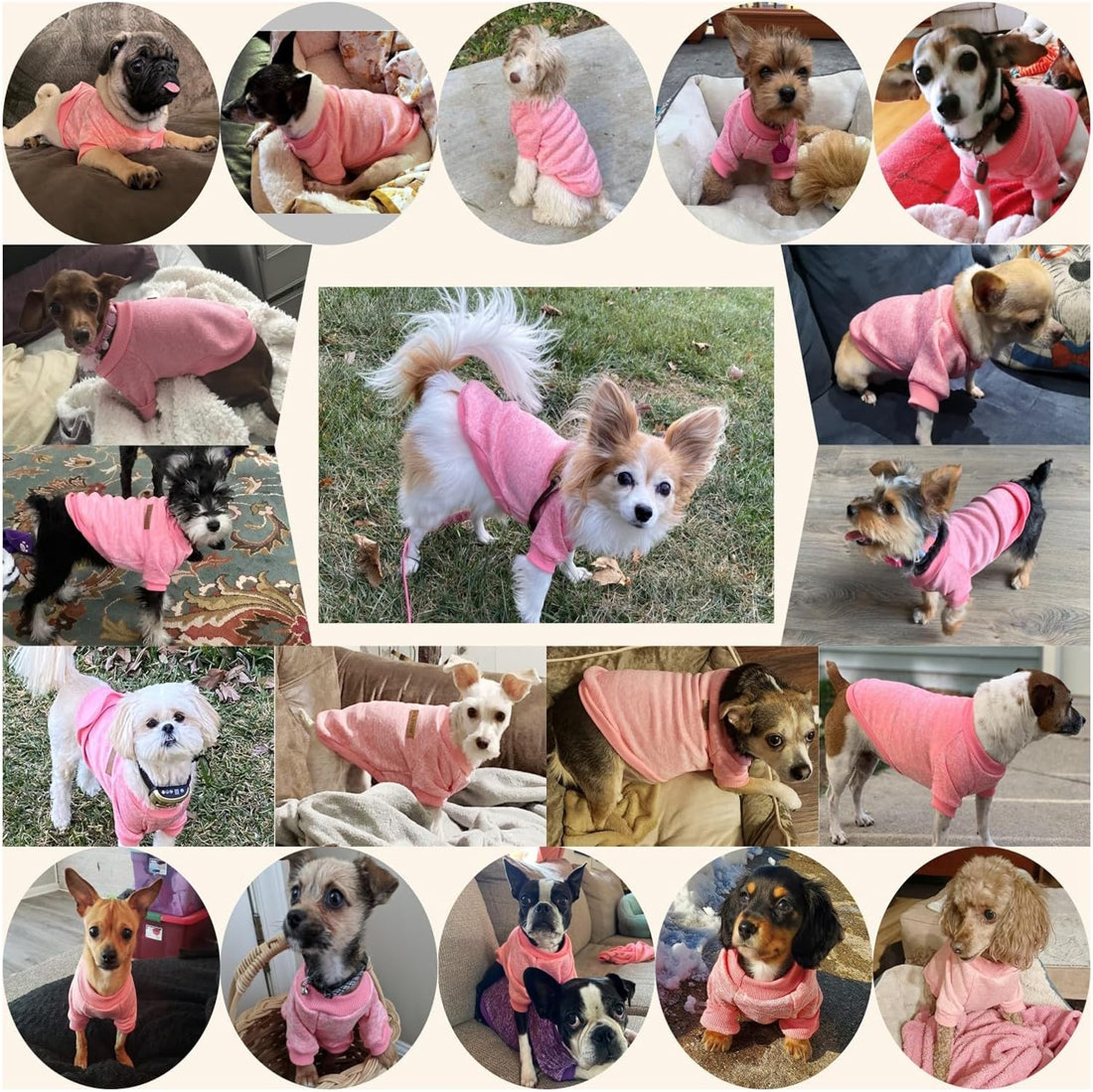 Jecikelon Fleece Dog Sweaters for Small Dogs