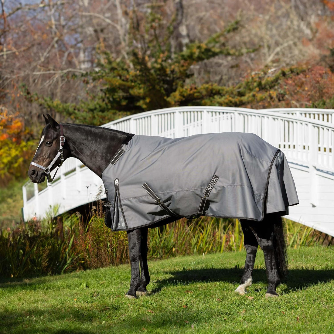Equinavia Arktis Regular Neck Turnout Sheet - Carbon Gray - 78 in