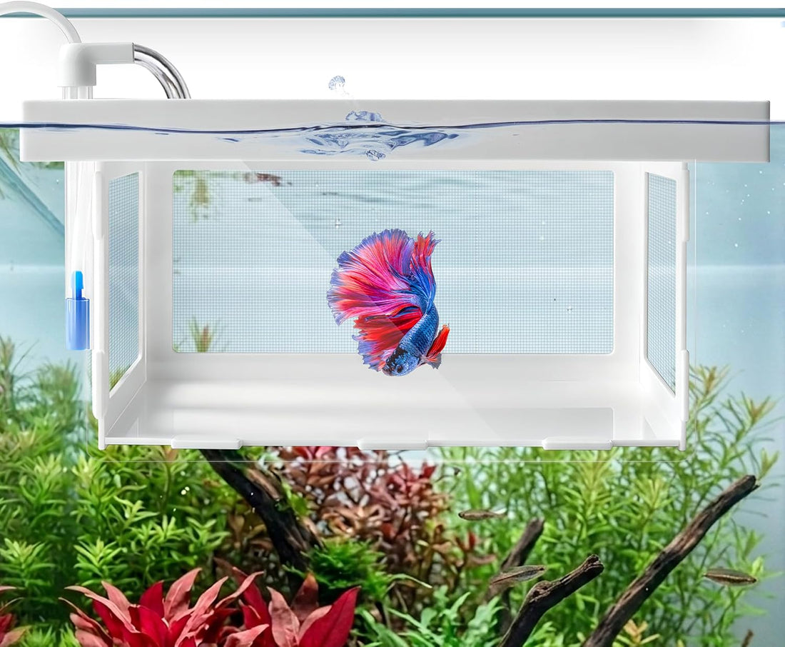 Floating Aquarium Breeder Box, Fish Acclimation & Isolation Tank