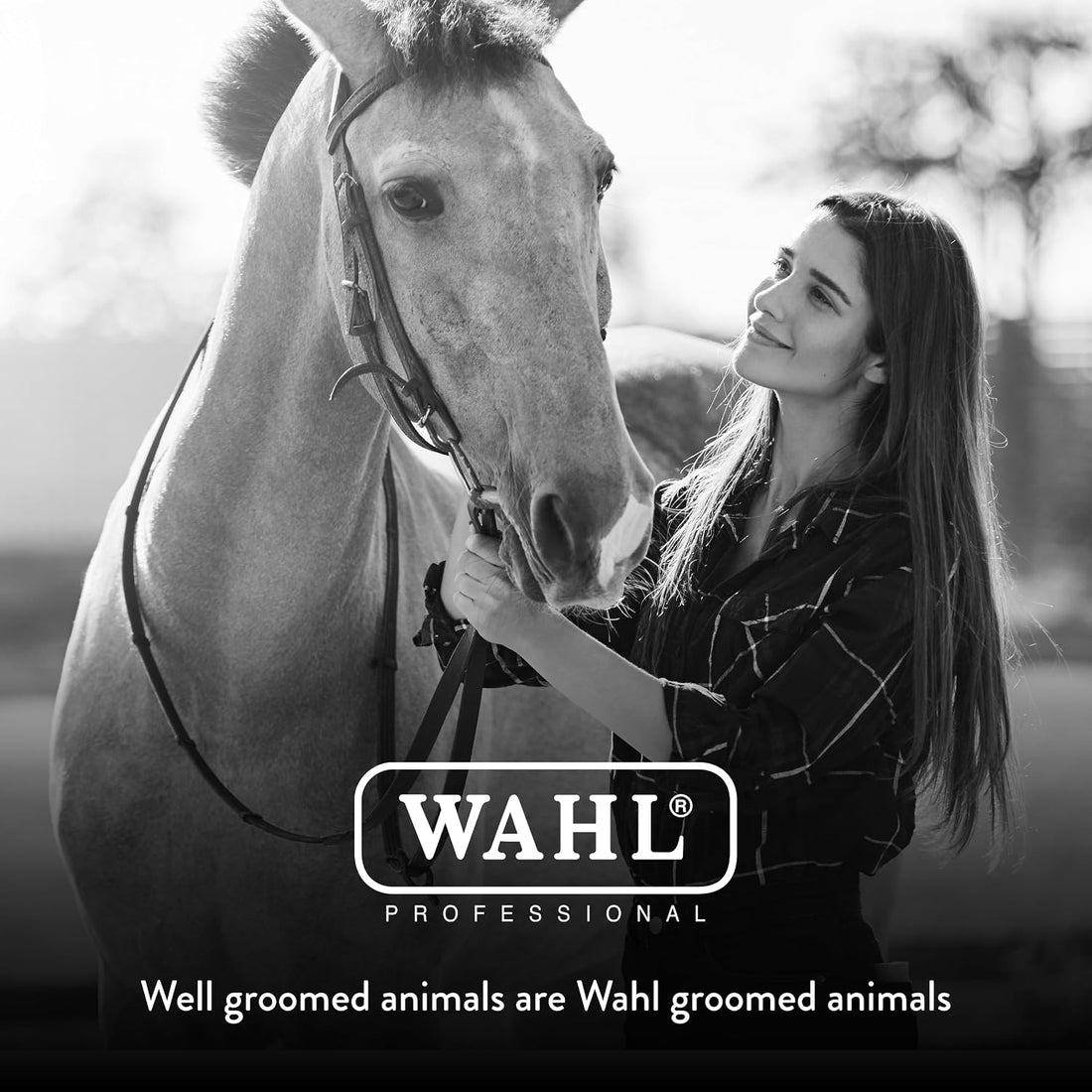 Wahl Professional Animal Equine Mane & Tail Brush, 858709-100, Black