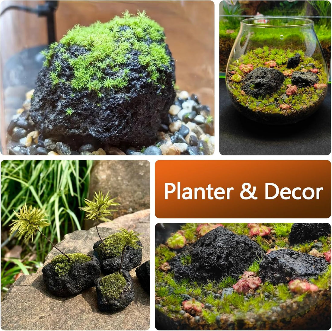 Black Lava Rock Natural Volcanic Stones 4"-6" Aquarium Rocks