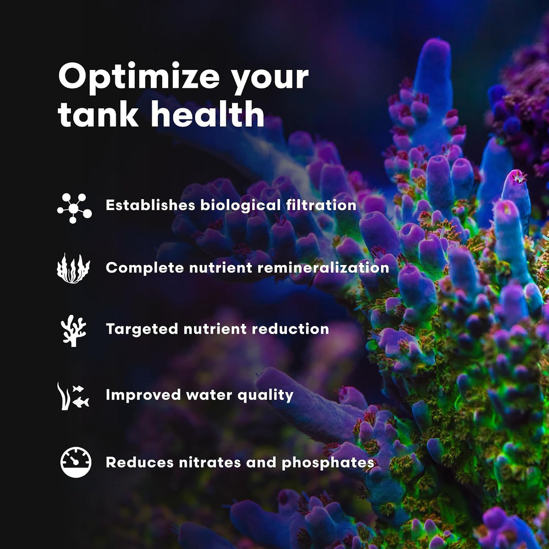 Brightwell Aquatics MicroBacter7 Biological Filter Bioculture Aid