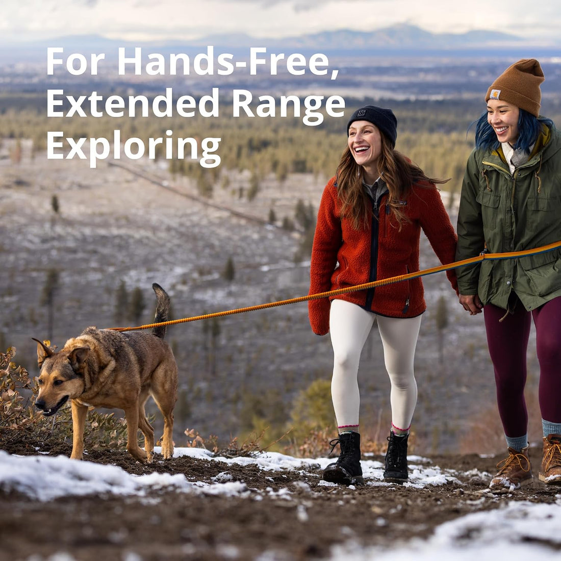Ruffwear, Roamer Bungee Dog Leash for Running, Biking or Hiking