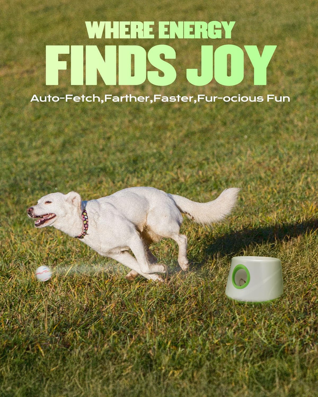 Automatic Dog Ball Thrower Launcher for Small to Medium Dogs
