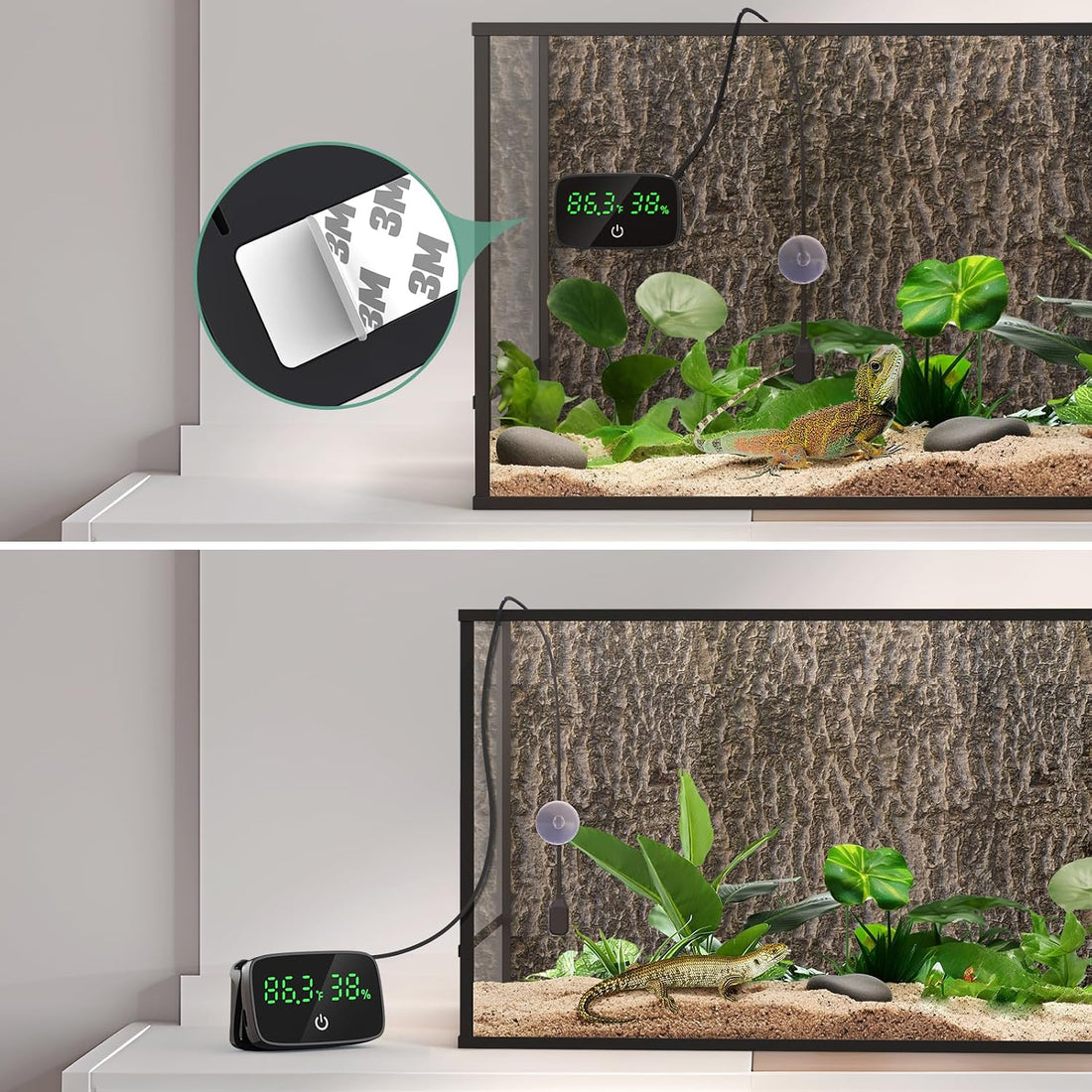 PAIZOO LED Digital Reptile Thermometer and Humidity Gauge with USB