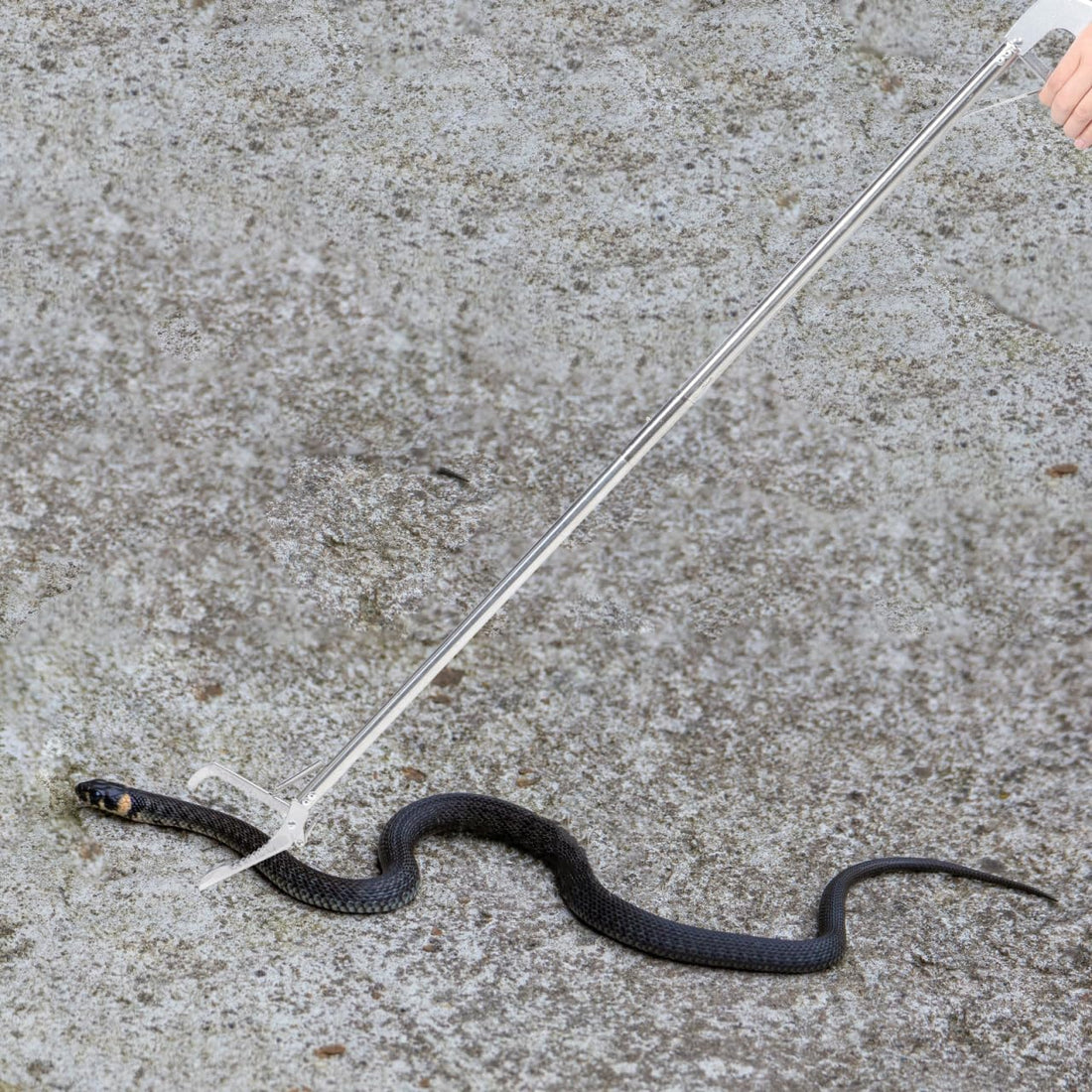 Abaodam Snake Catcher Clip Stainless Steel Folding 47.16 in