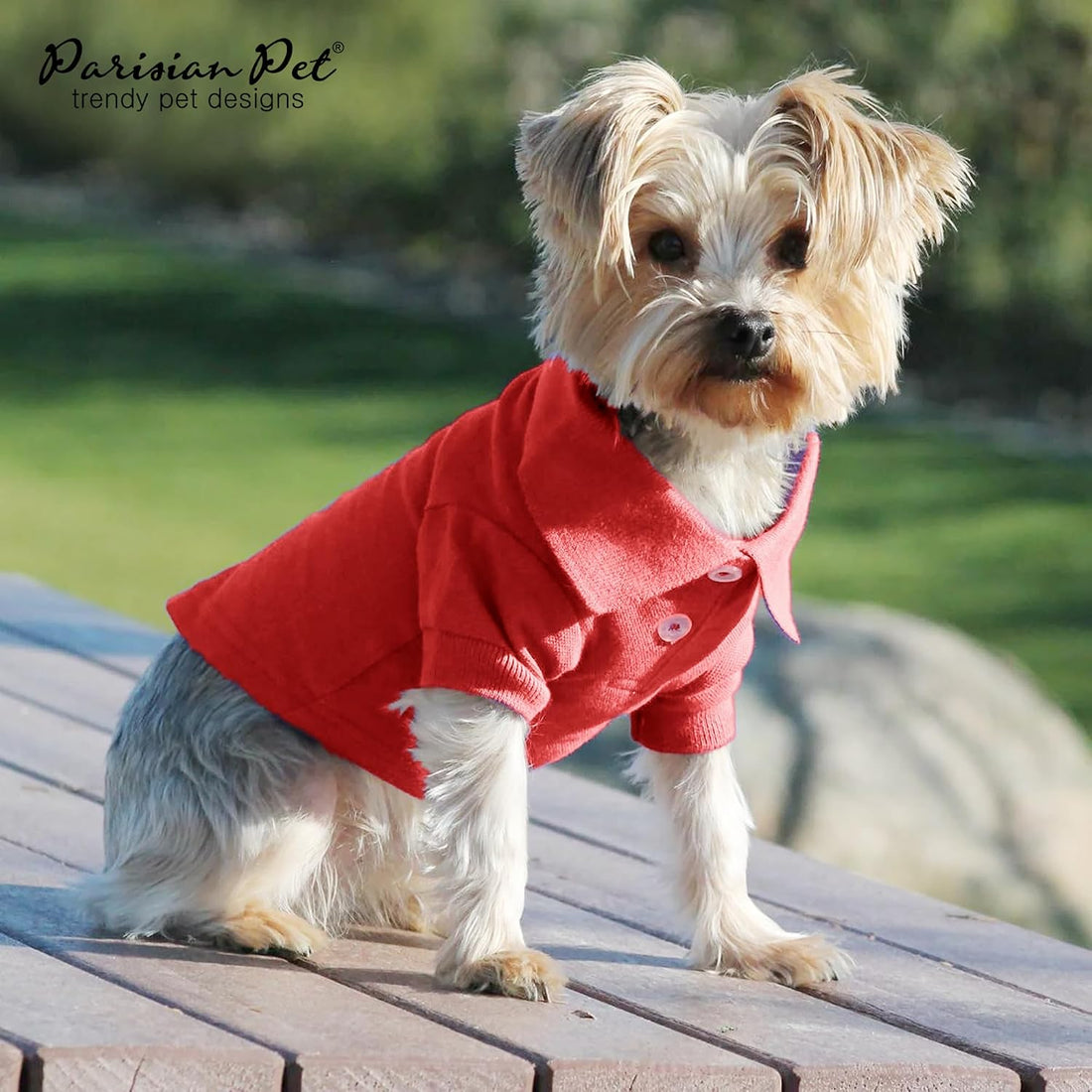 Parisian Pet Dog Polo Shirt – Classic Red Cotton Pet Apparel