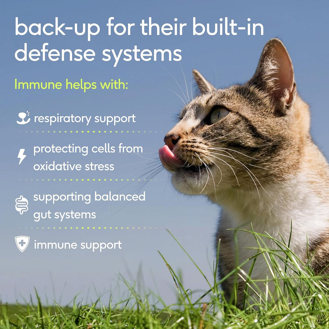 Native Pet Cat Immune Support - Chicken Flavored L-Lysine for Cats