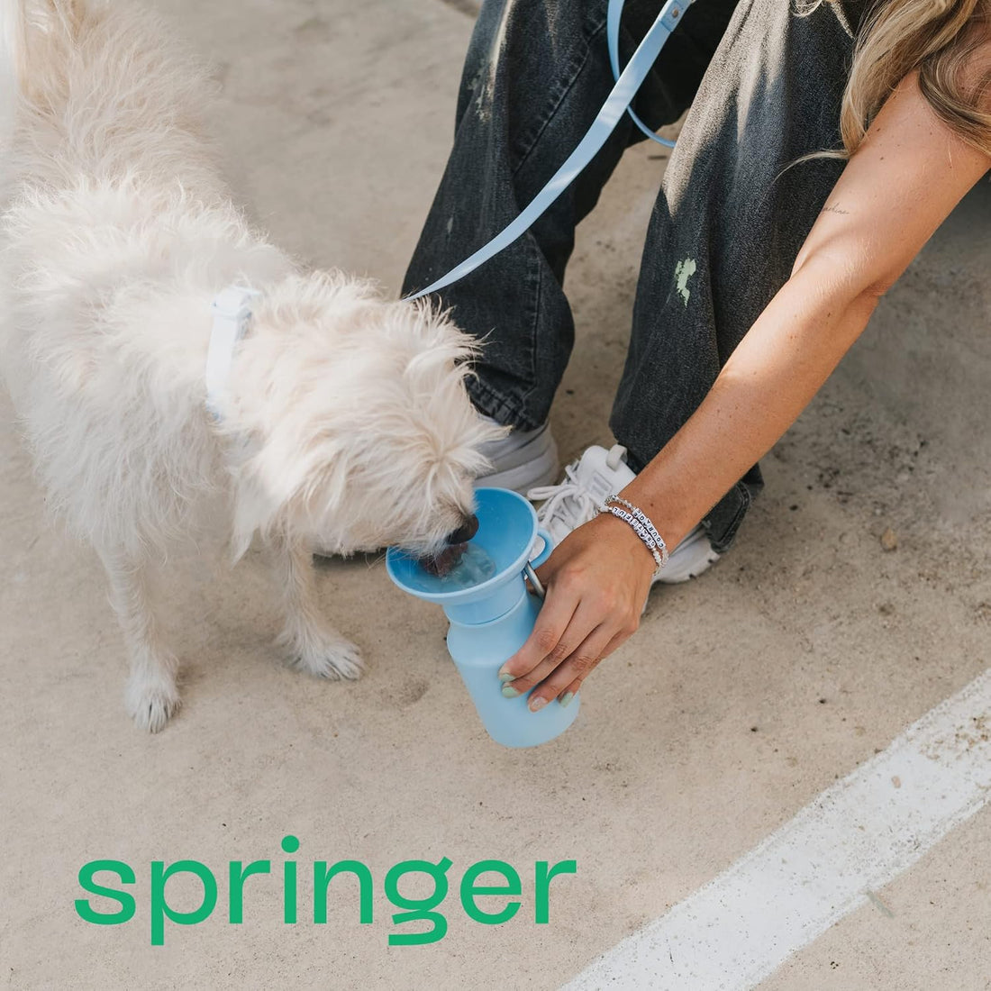 Springer Dog Water Bottle | Portable Travel Drinking Feeder Dispenser