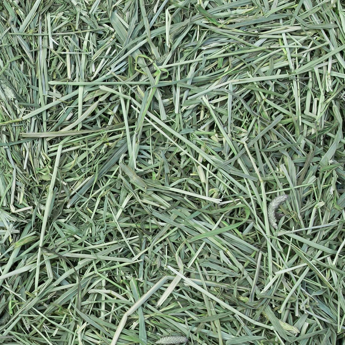 Eaton Pet and Pasture Naturally Grown, Premium, 1st Cut Blend