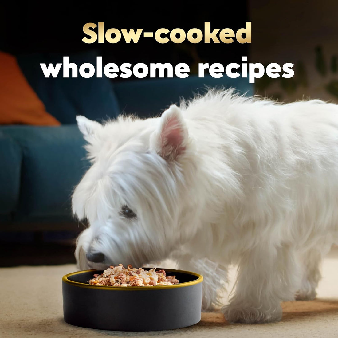 Cesar Wholesome Bowls Adult Wet Dog Food,Beef,Chicken,Purple Potatoes