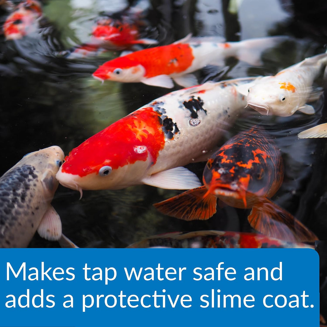 API POND STRESS COAT Pond Water Conditioner