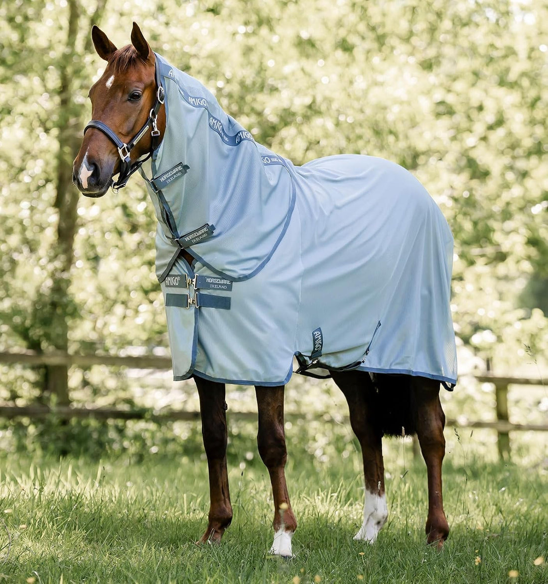 Horseware® Amigo® Bug Rug Plus Fly Sheet