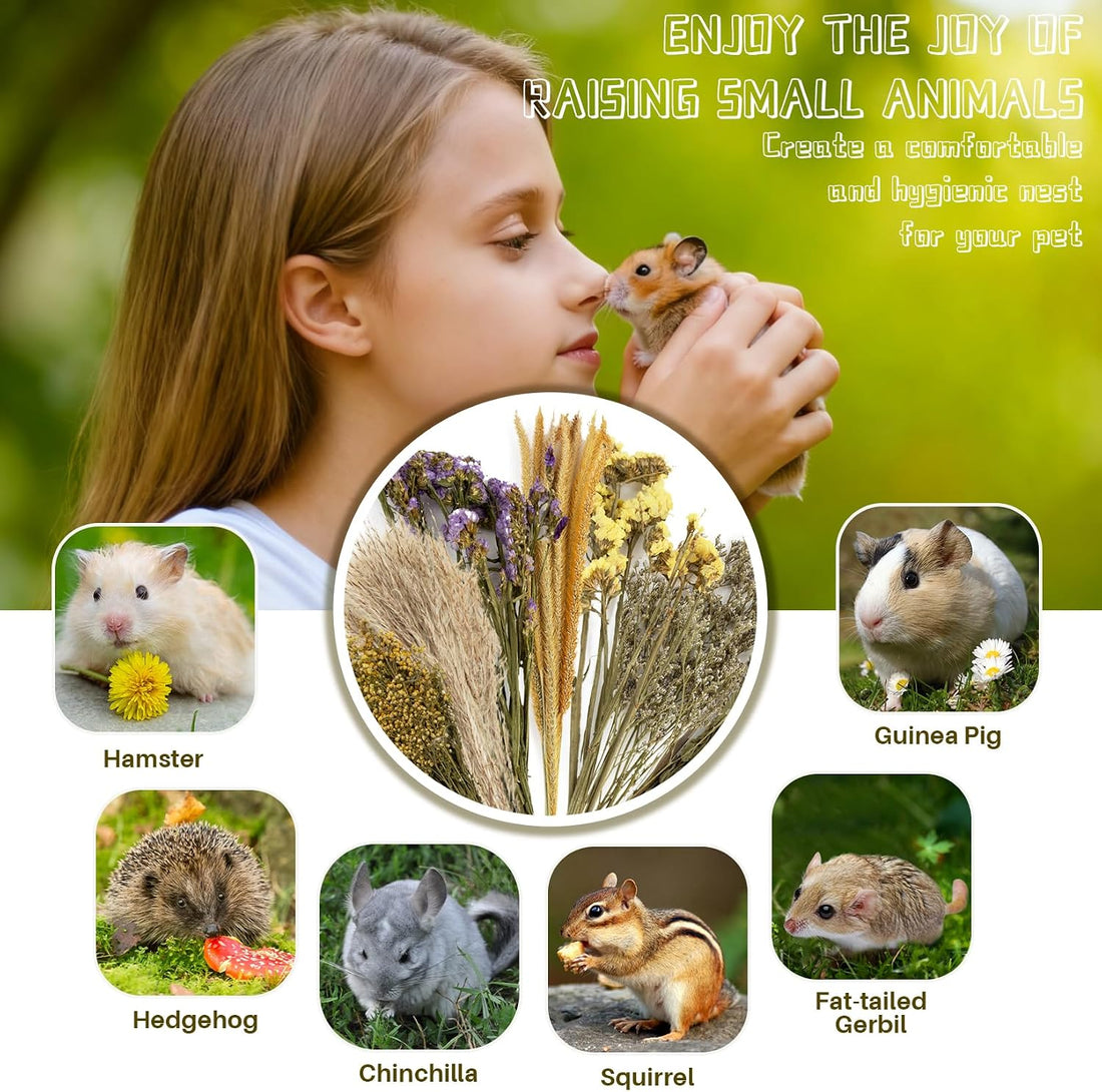 Sukh 47 Pcs Hamster Sprays - Natural Dried Flower and Herb Forage Mix