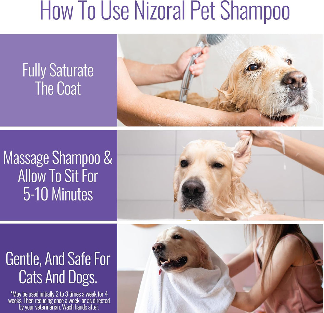 Nizoral Ketoconazole Pet Shampoo, 16 Oz, Chlorhexidine, Dogs & Cats