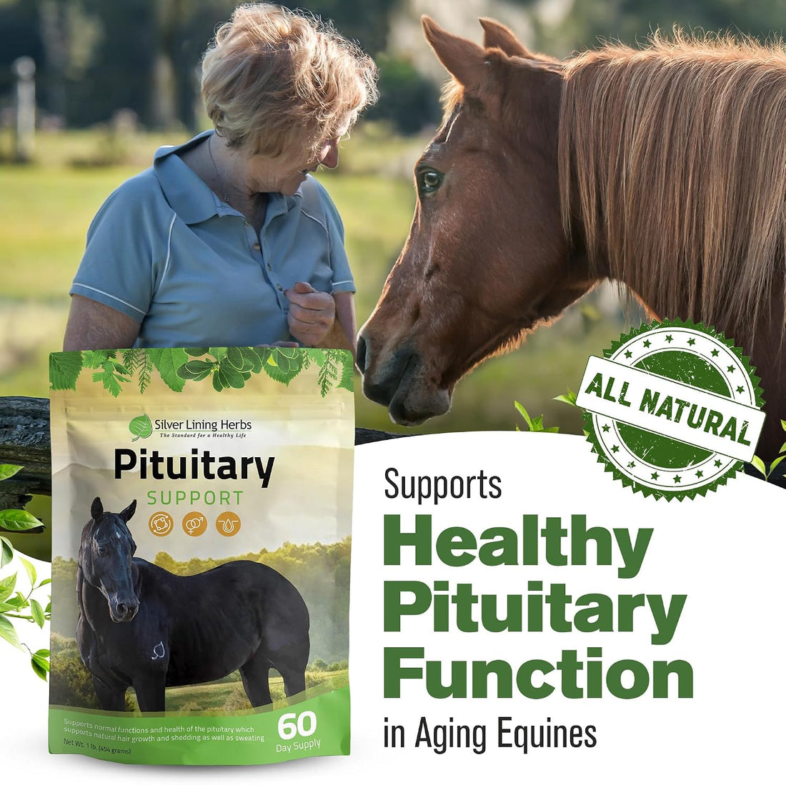 Silver Lining Herbs Horse Pituitary Gland Supplements - 1 lb