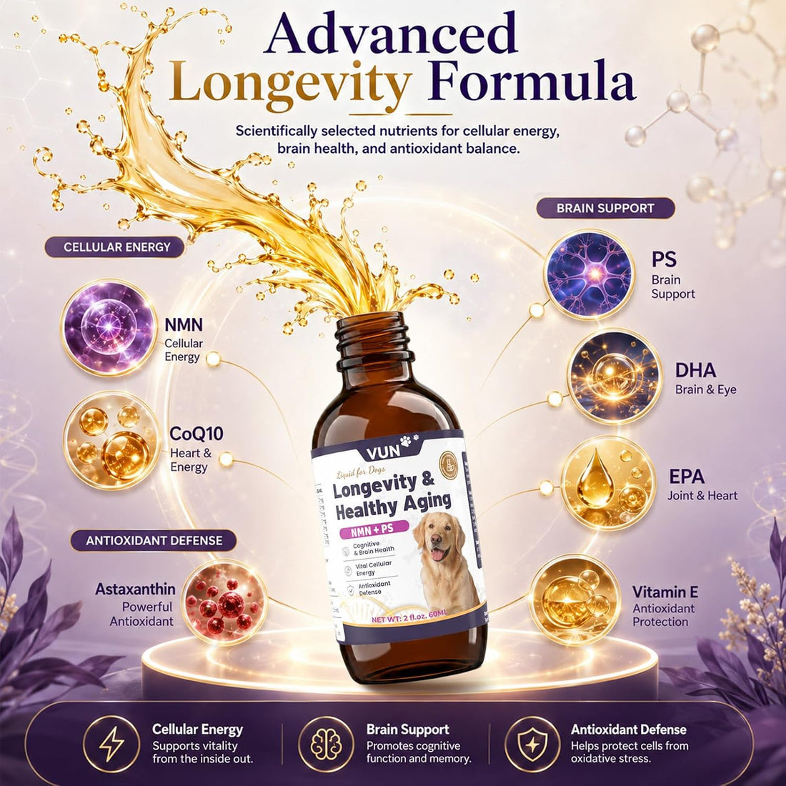 VUN NAD+ Longevity Drop for Senior Dogs Cognitive & Nervous System