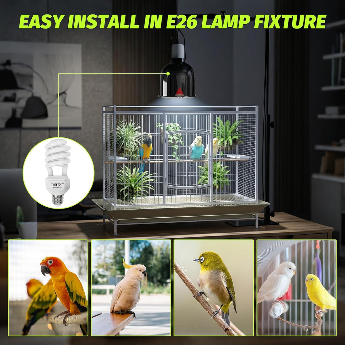 GlowUp UVB 2.4 Bird Light 23W, UVA UVB E26 Bird Cage Light for Birds