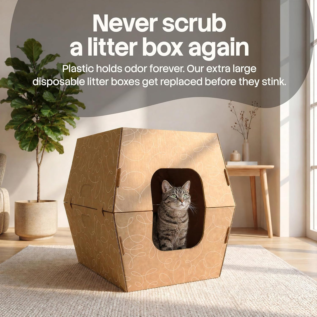 Cats Desire Disposable Litter Box, Extra Large 8.5" Tall Sides