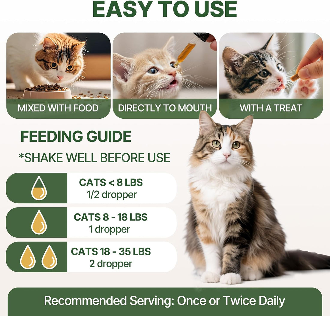 Kidney & Bladder Stones Dissolver for Cats– Traditional Herbal UTI
