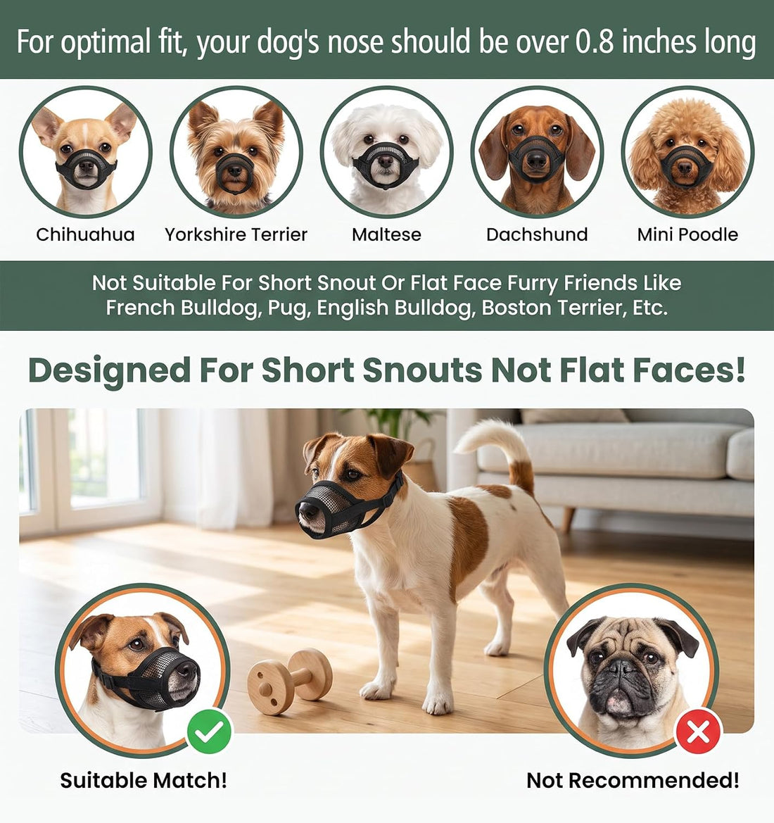 1 Pcs Muzzle for Shih Tzu for Grooming