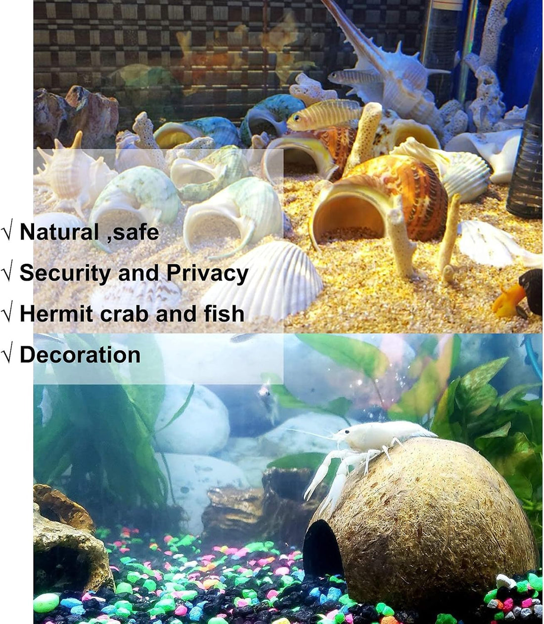 SINKOO 16PCS Hermit Crab Shells Growth, Hermit Crab Coconut Hut
