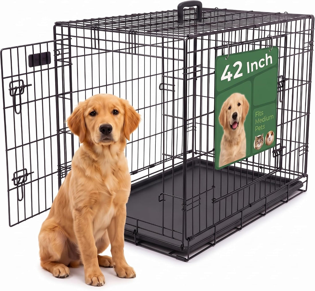 36-Inch Double Door Folding Metal Dog Crate