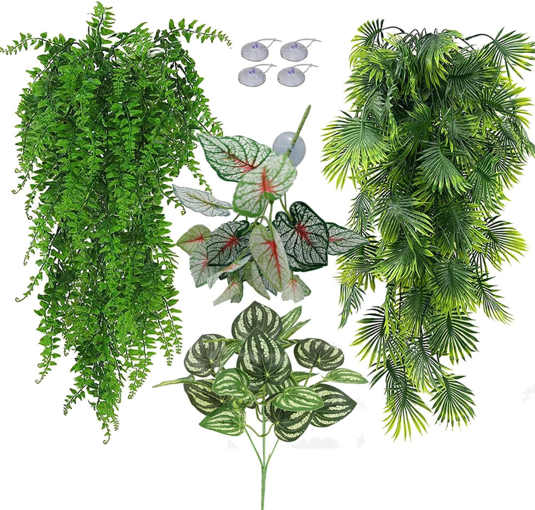 Reptile Plants for Bearded Dragon Tank Accessories