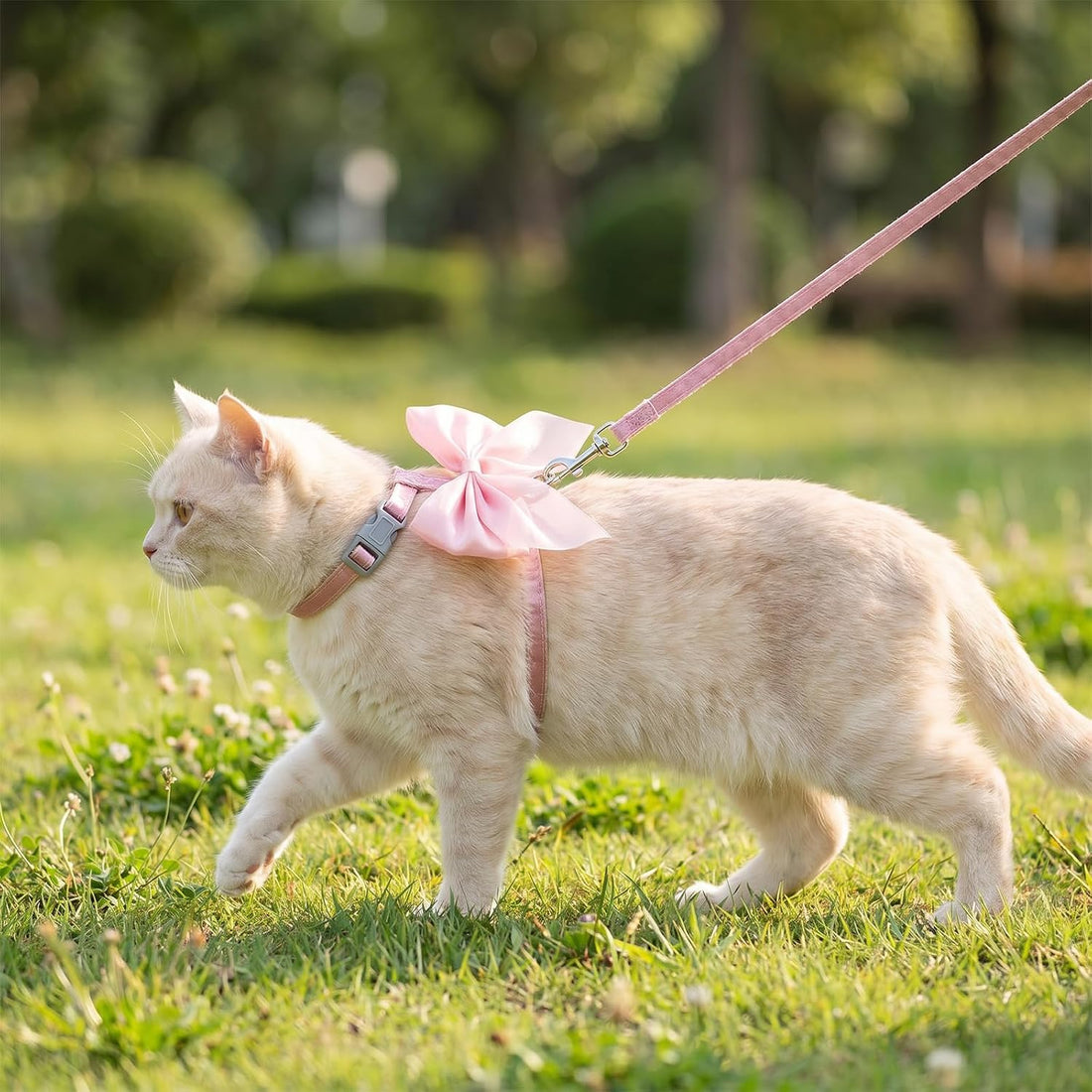 Cat Leash and Harness Set 13.39x49.21in Escape Proof Bunny Leash