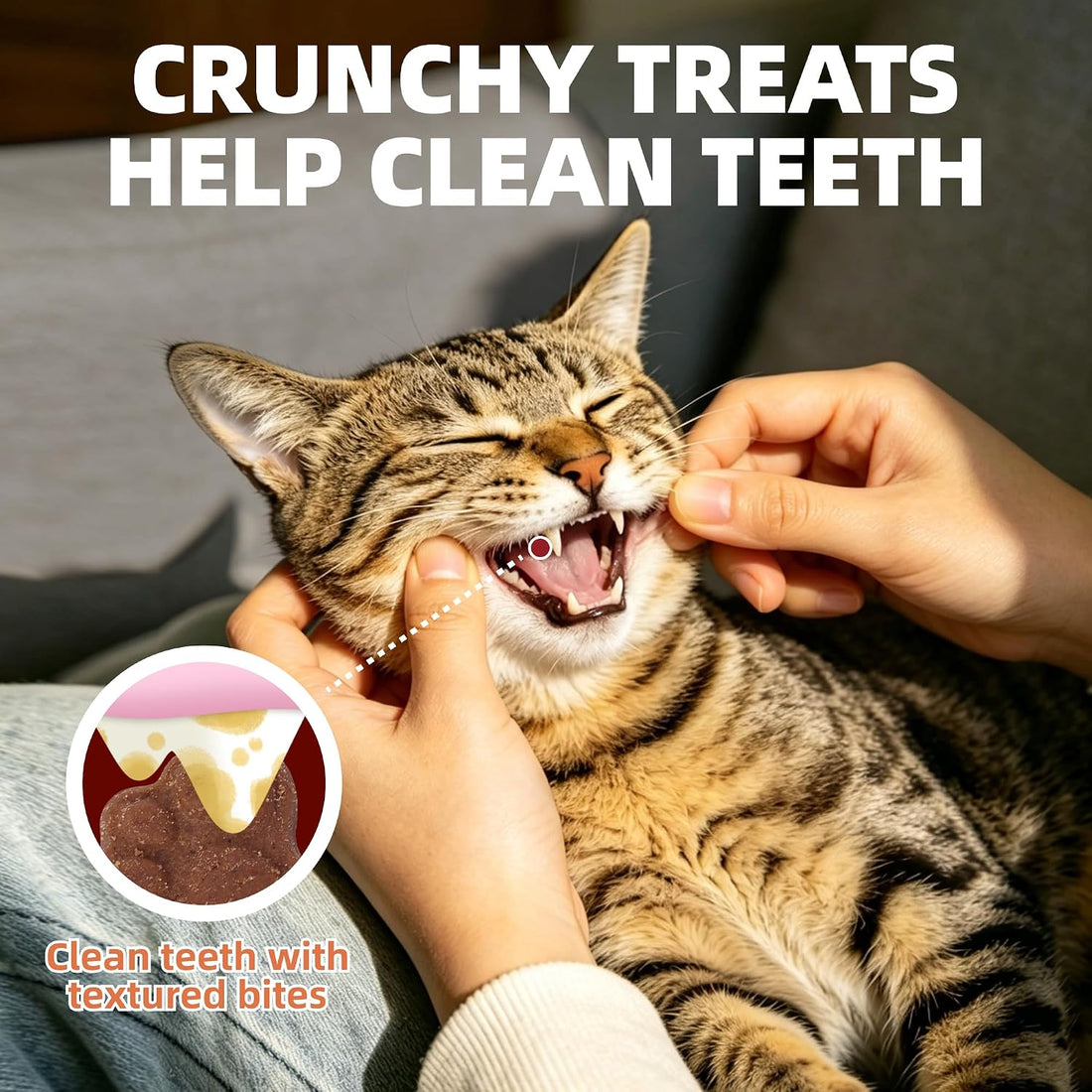 Just Try Urinary Cat Treats, Cranberry & D Mannose Formula Tract Bites