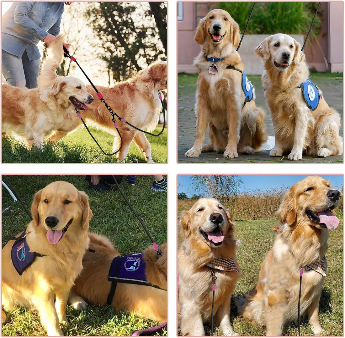 Double Dog Leash No Tangle, Adjustable Split Leads Three Pet Walking