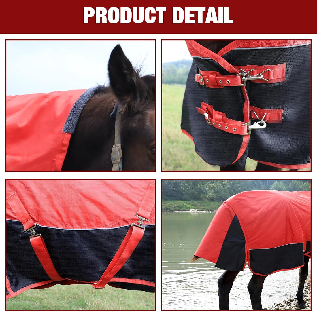 Horse Blankets Winter for Real Horses