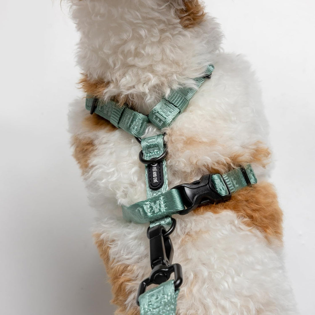 Fei & Eve Moxie Dog Harness for Small & Medium Dogs