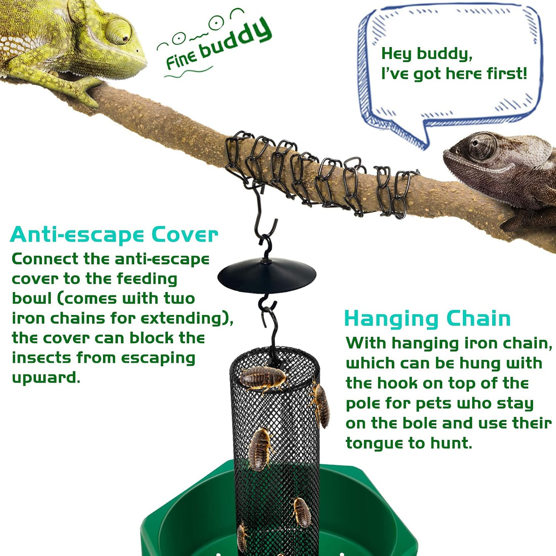 Hookable Chameleon Feeding Bowl