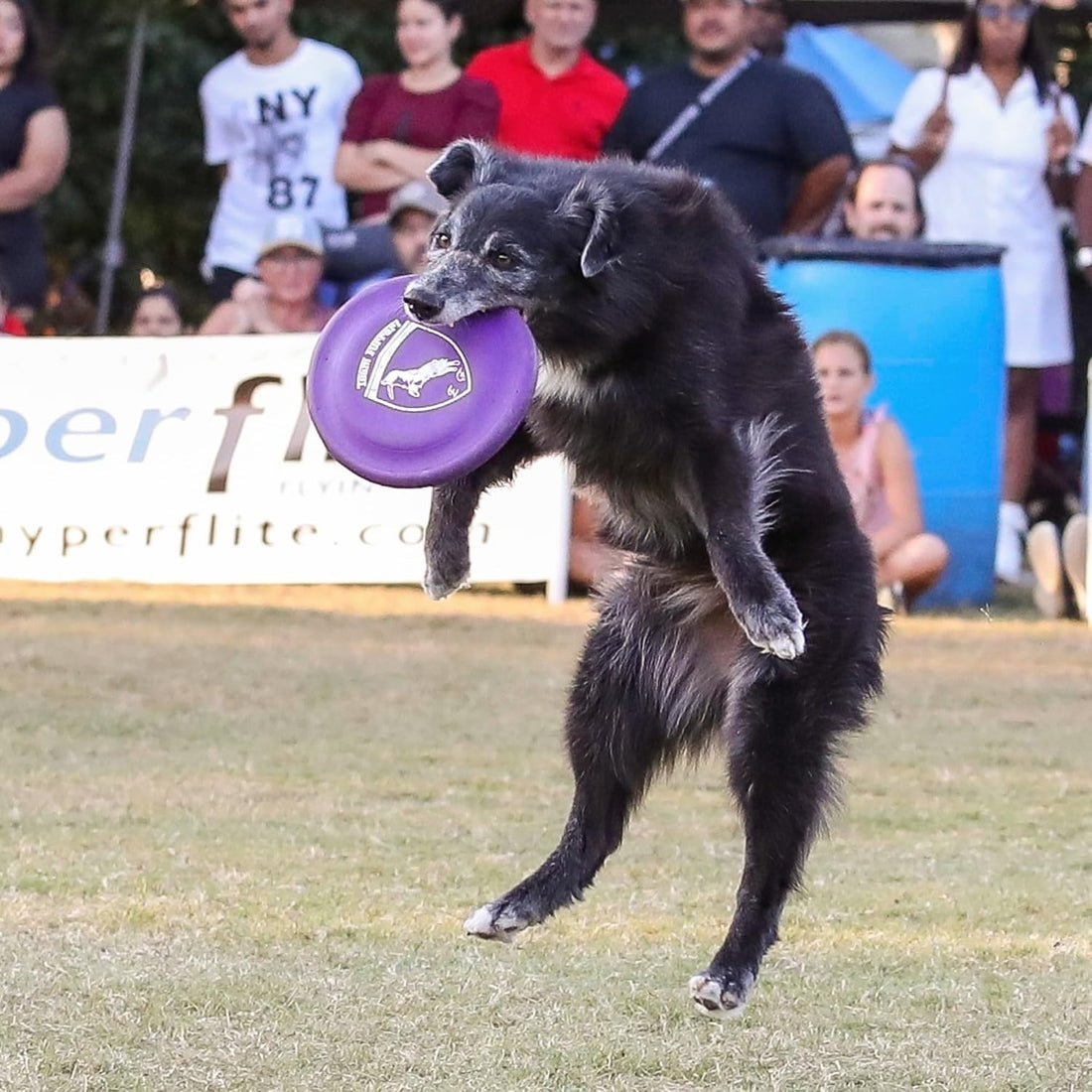 Hyperflite K-10 Hyperflex Dog Flying Disc – Ultra Flexible