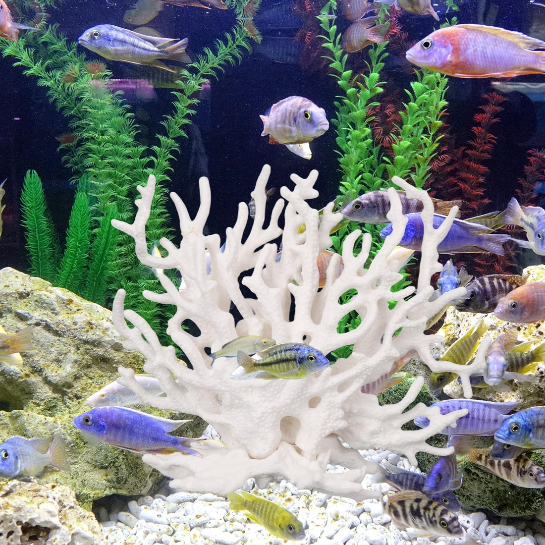 Tinoaly Fish Tank Decorations, White Resin Coral Reef Decor