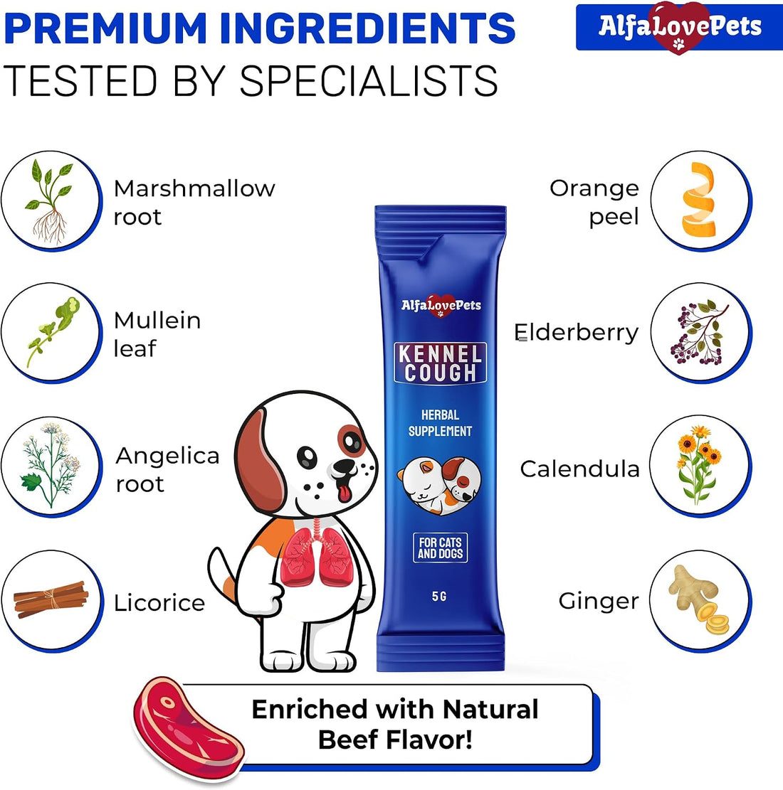 Dry & Wet Kennel Cough Medicine for Dogs and Cats