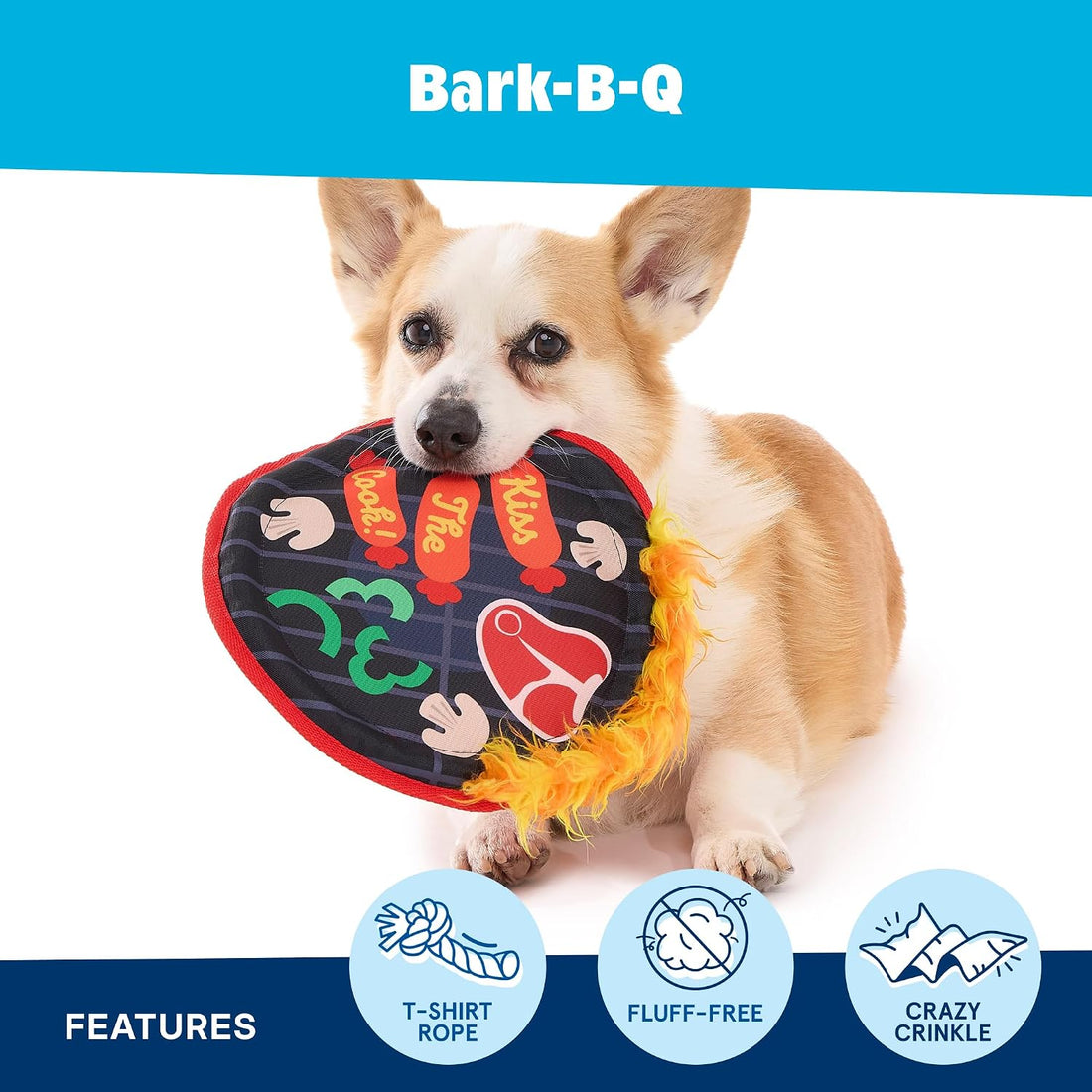 BarkBox Bark-B-Q Flying Disc Dog Toy - for Dogs