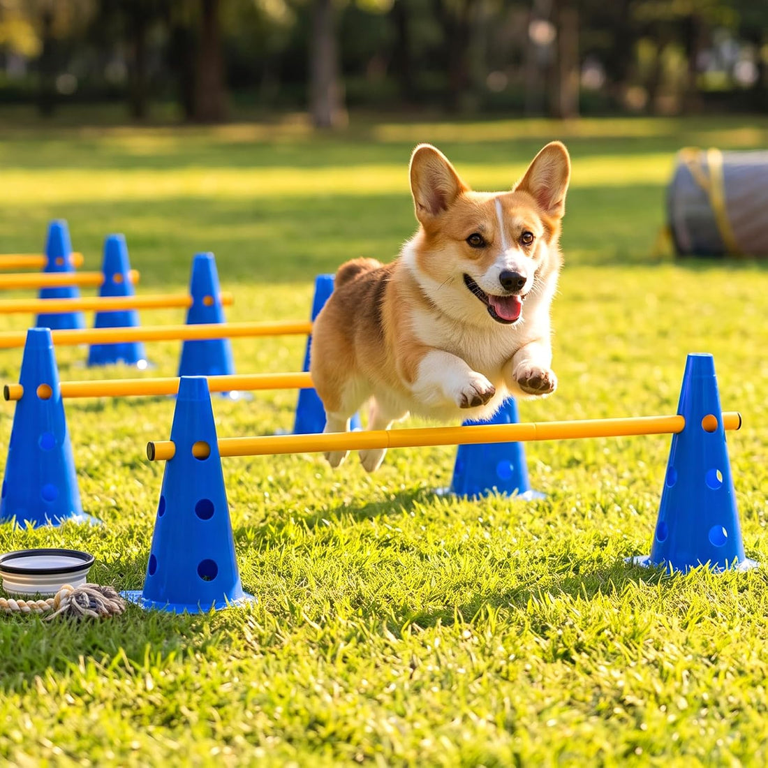 Dog Agility Course Backyard Set, 12 Cones & 6 Poles