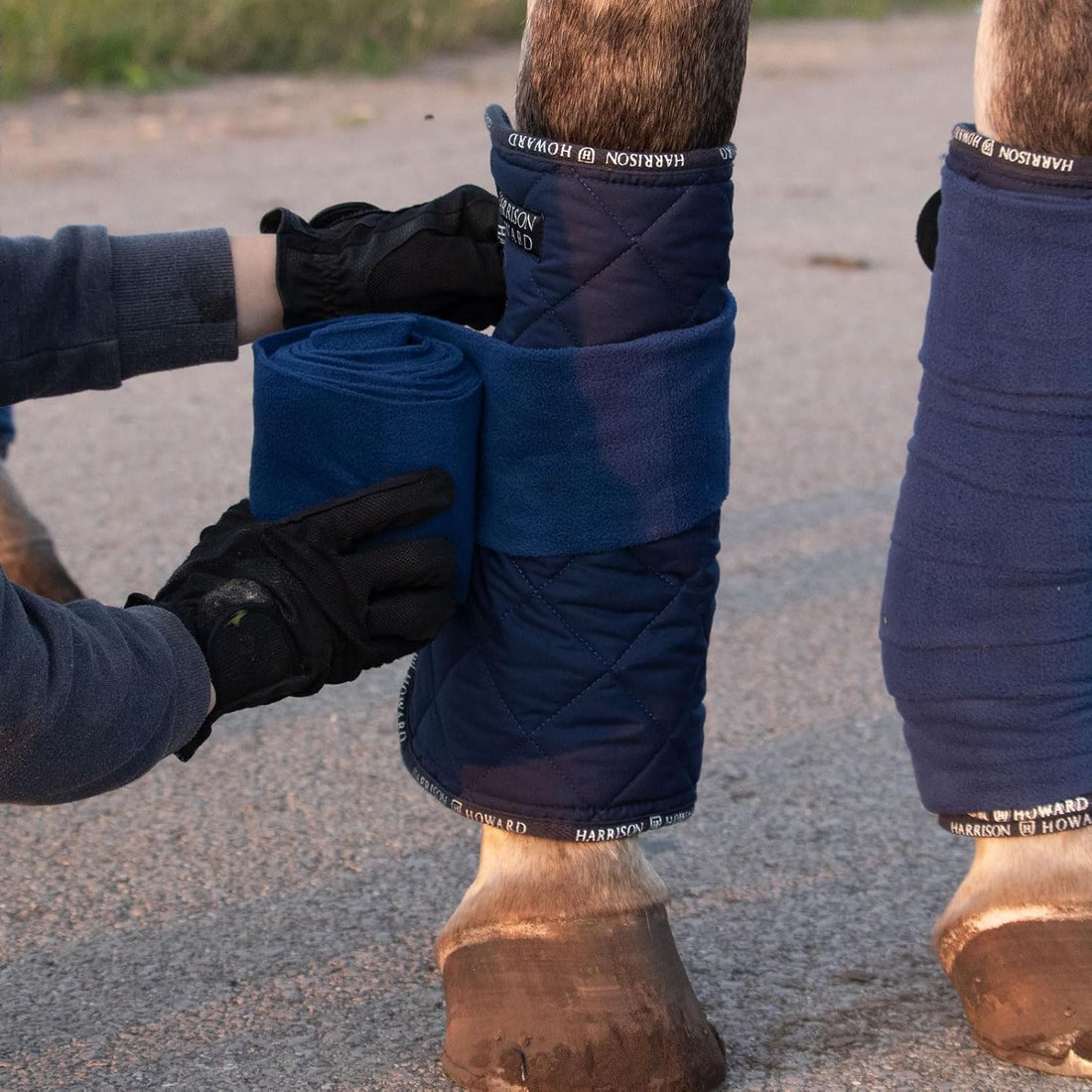 Harrison Howard Quilted Horse Leg Wraps