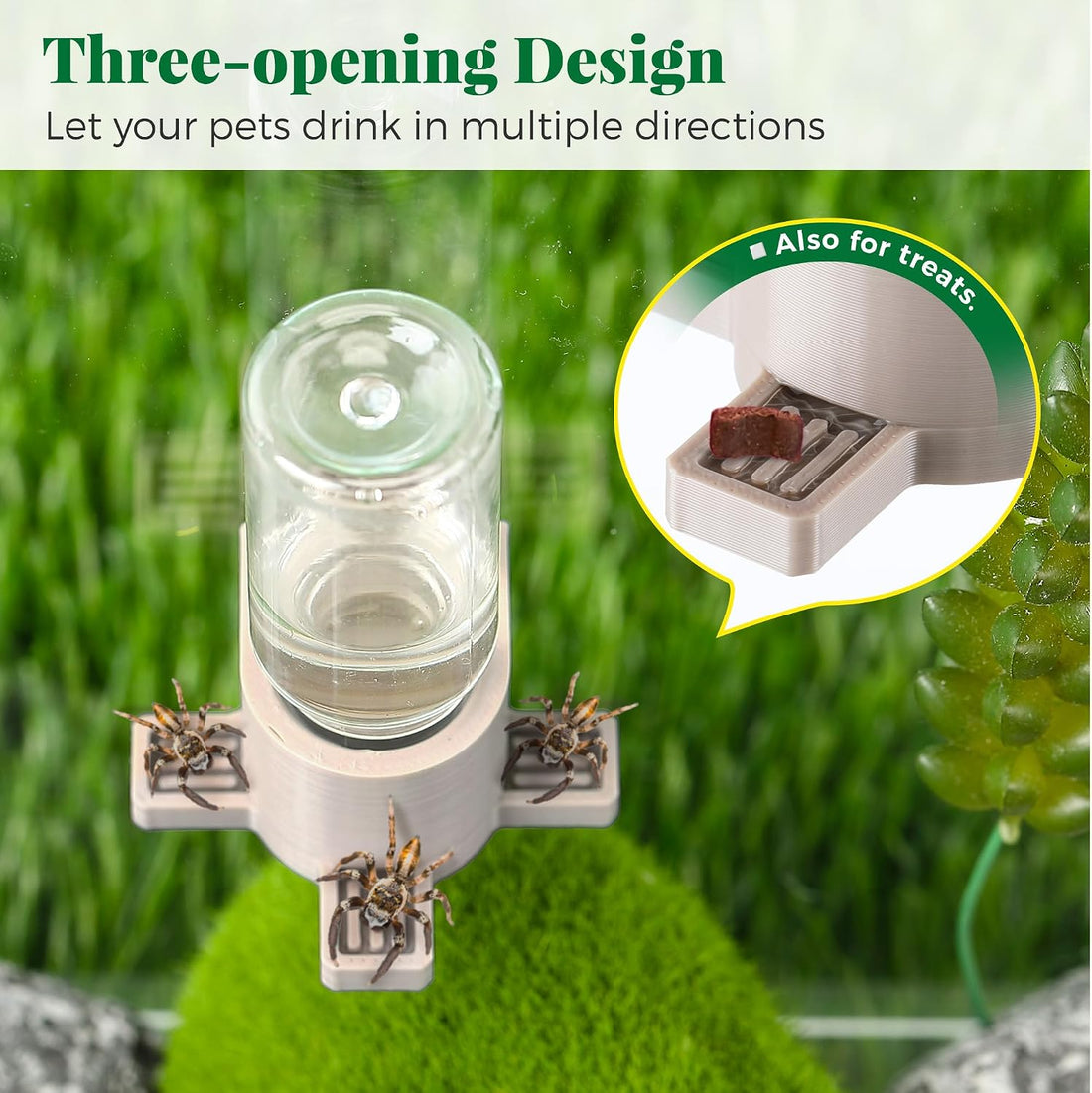 2 Pcs 10ML Jumping Spider Water Dispenser with Magnets