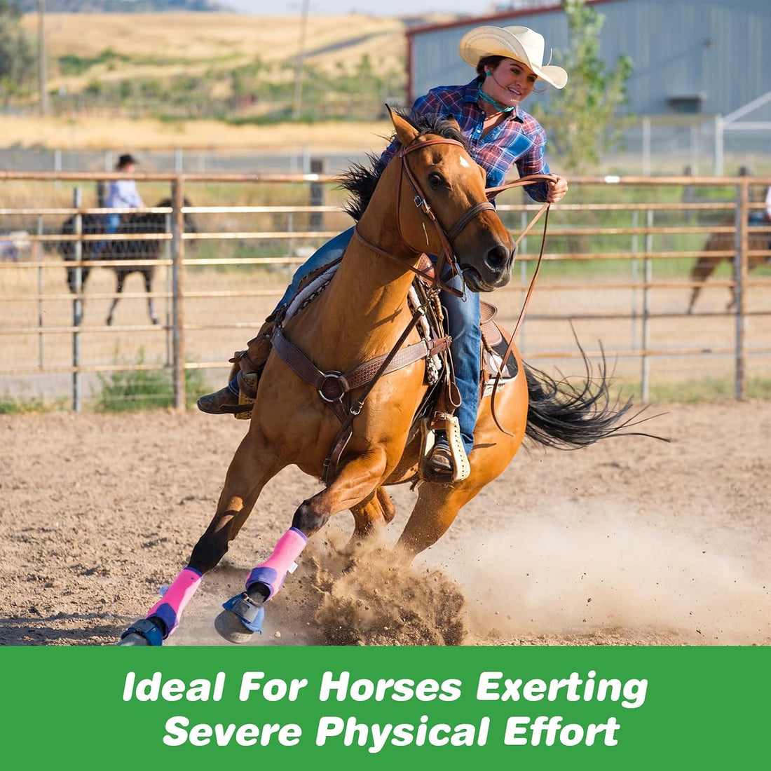 Vitamin E Horse Supplement Powder for Muscle, Nerve & Immune Support