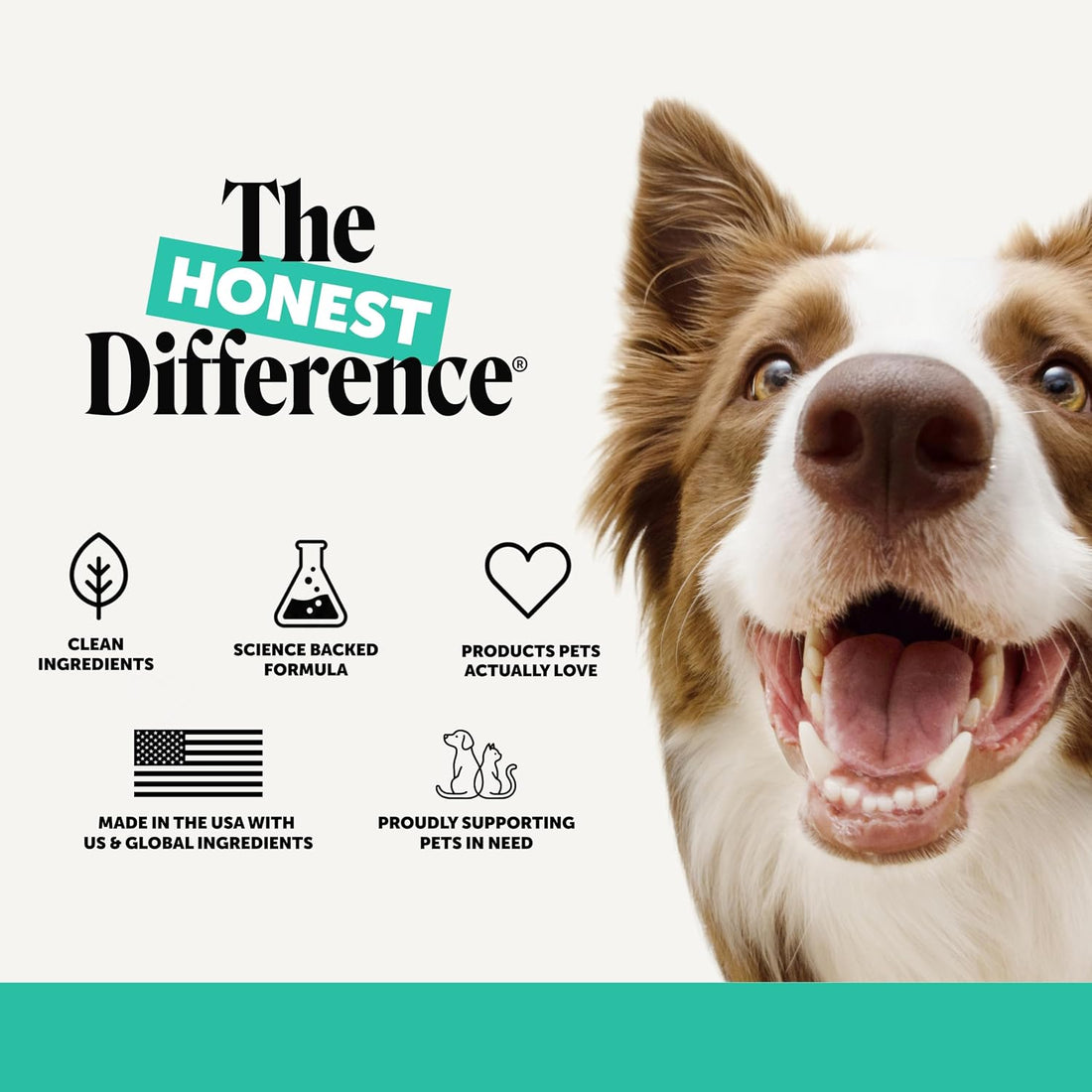 Dog Dental Treats Fresh Breath Sticks