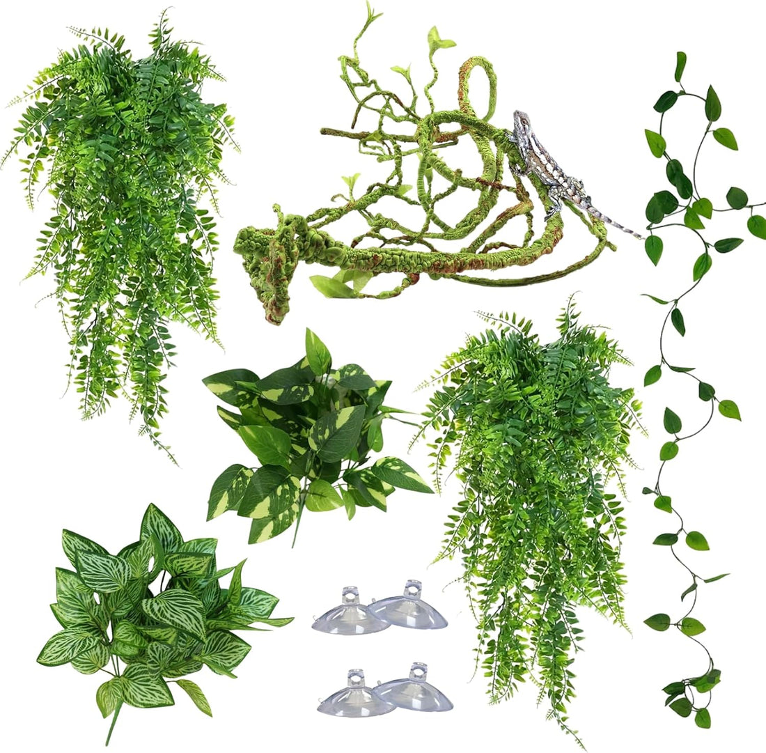 Reptile Plants for Terrarium, Bearded Dragon Tank Accessories