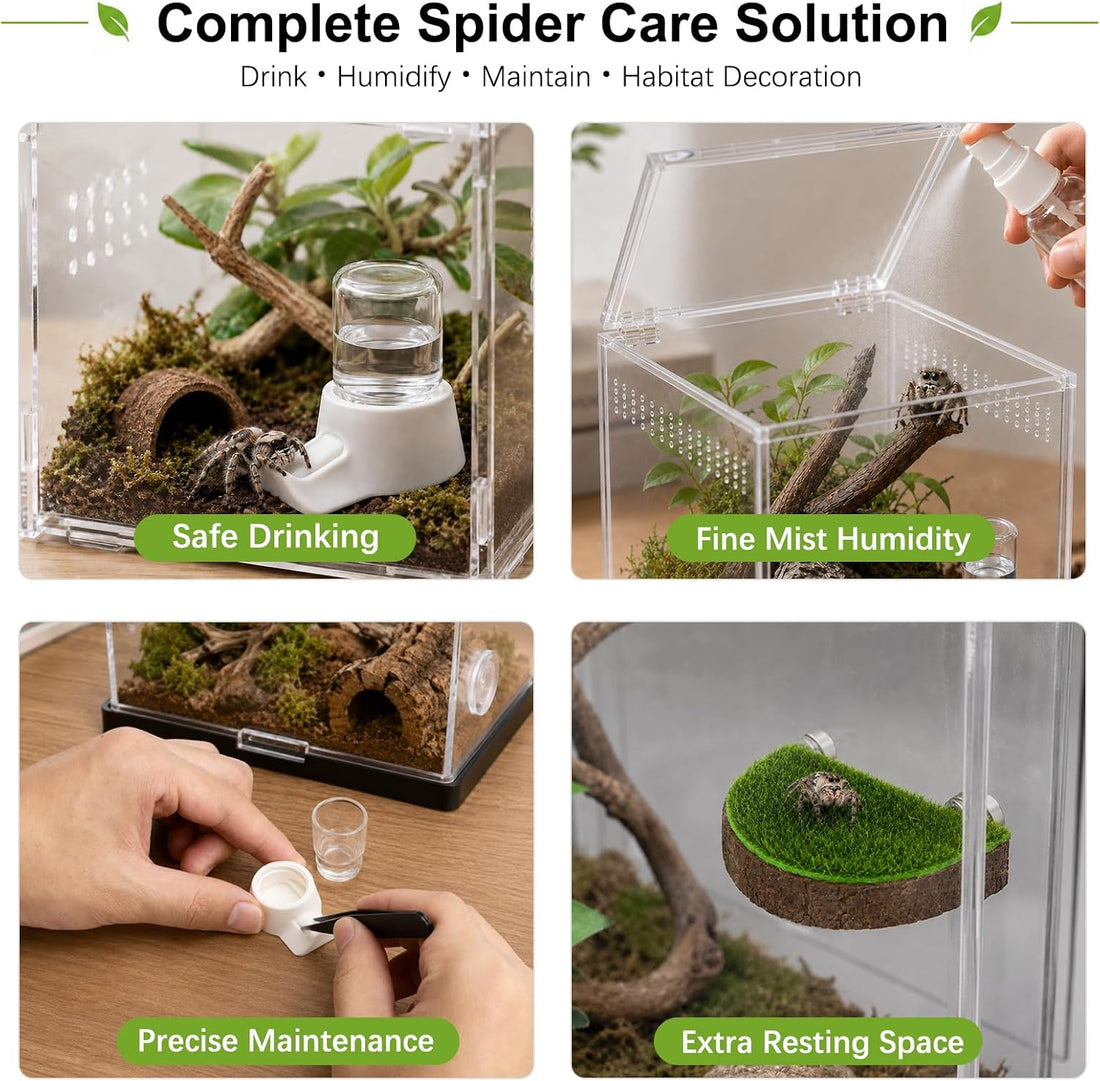 15 Pcs Jumping Spider Water Dispenser Set,Drown-Free Capillary