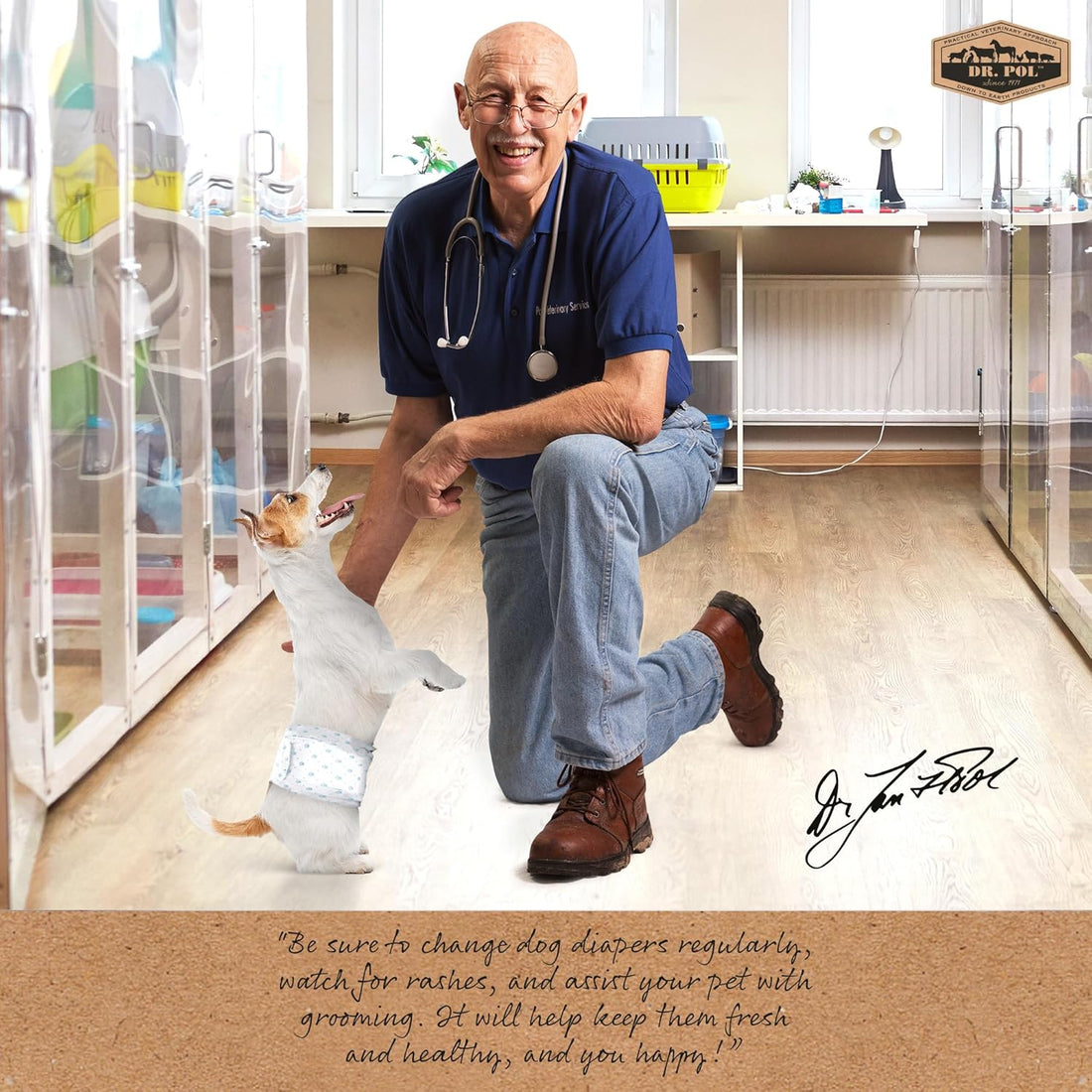 Dr. Pol Male Dog Diapers – Super Absorbent, Breathable