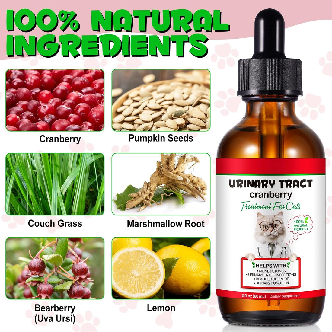 Urinary Tract for Cats, Natural Cat Urinary Tract Infection Treatment